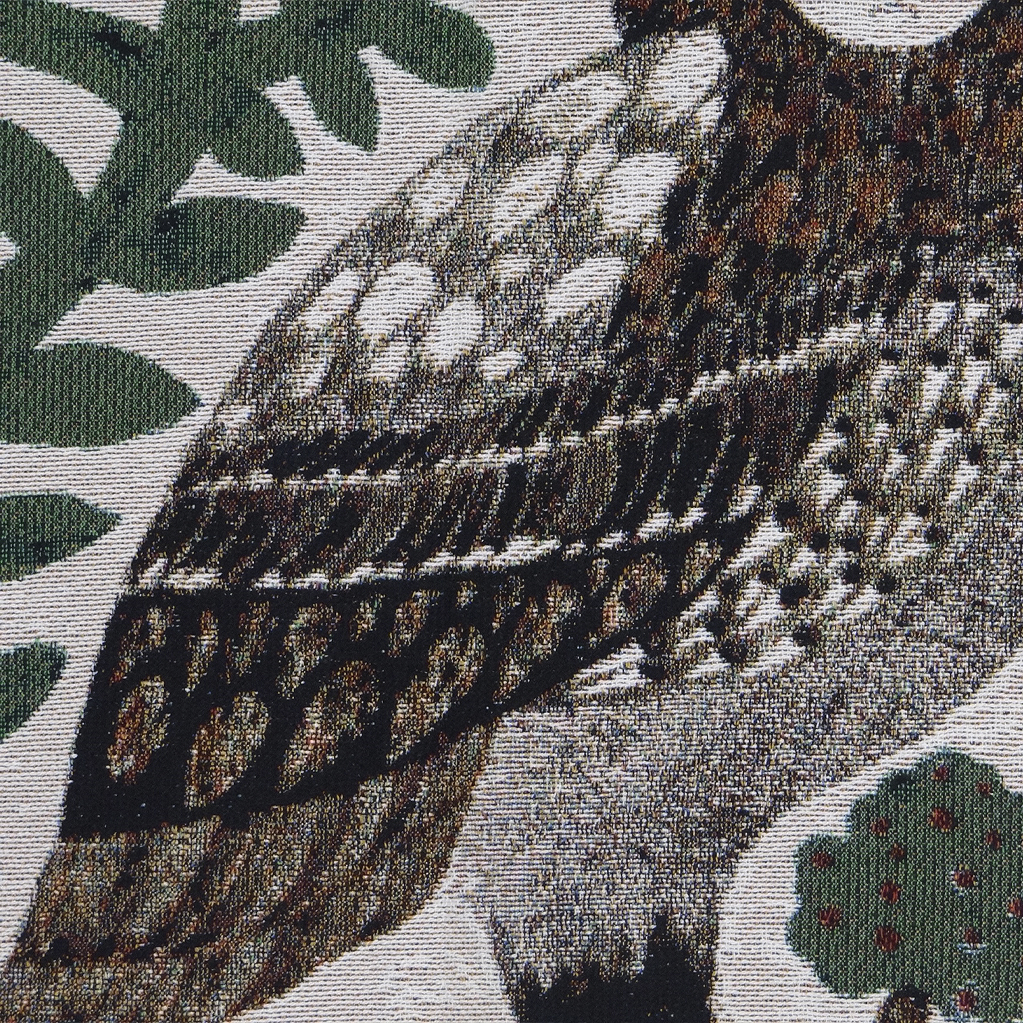 Owl Sisters | 95 x 130 - Image 5